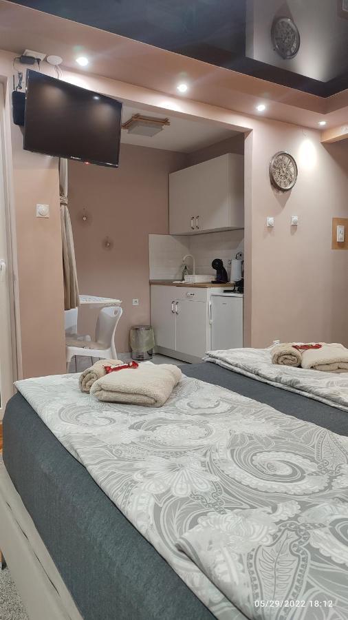 Iva Lux Apartman Zaječar Εξωτερικό φωτογραφία